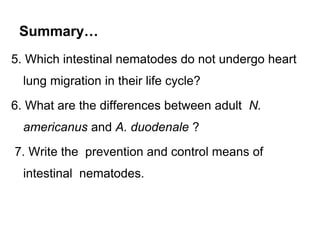 Summary…
5. Which intestinal nematodes do not undergo heart
lung migration in their life cycle?
6. What are the differences between adult N.
americanus and A. duodenale ?
7. Write the prevention and control means of
intestinal nematodes.
 
