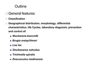 Outline
General features
 Classification
 Geographical distribution, morphology, differential
characteristics, life Cycles, laboratory diagnosis, prevention
and control of:
 Wuchereria bancrofti
 Brugia malayi/timori
 Loa loa
 Onchocerca volvulus
 Trichinella spiralis
 Dracunculus medinensis
 
