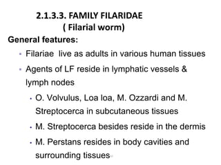 General features:
 Filariae live as adults in various human tissues
 Agents of LF reside in lymphatic vessels &
lymph nodes
• O. Volvulus, Loa loa, M. Ozzardi and M.
Streptocerca in subcutaneous tissues
• M. Streptocerca besides reside in the dermis
• M. Perstans resides in body cavities and
surrounding tissues
160
2.1.3.3. FAMILY FILARIDAE
( Filarial worm)
 