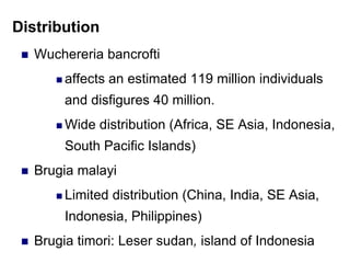 Distribution
 Wuchereria bancrofti
 affects an estimated 119 million individuals
and disfigures 40 million.
 Wide distribution (Africa, SE Asia, Indonesia,
South Pacific Islands)
 Brugia malayi
 Limited distribution (China, India, SE Asia,
Indonesia, Philippines)
 Brugia timori: Leser sudan, island of Indonesia
 
