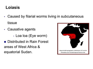 Loiasis
• Caused by filarial worms living in subcutaneous
tissue
• Causative agents
• Loa loa (Eye worm)
 Distributed in Rain Forest
areas of West Africa &
equatorial Sudan.
 