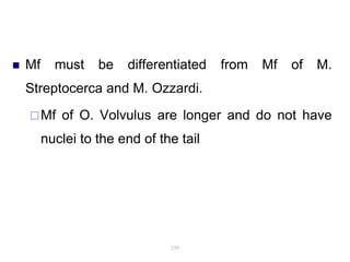  Mf must be differentiated from Mf of M.
Streptocerca and M. Ozzardi.
Mf of O. Volvulus are longer and do not have
nuclei to the end of the tail
239
 
