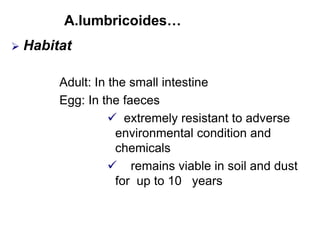 A.lumbricoides…
 Habitat
Adult: In the small intestine
Egg: In the faeces
 extremely resistant to adverse
environmental condition and
chemicals
 remains viable in soil and dust
for up to 10 years
 
