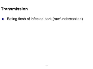 Transmission
 Eating flesh of infected pork (raw/undercooked)
250
 
