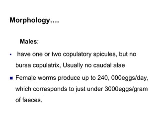 Morphology….
Males:
 have one or two copulatory spicules, but no
bursa copulatrix, Usually no caudal alae
 Female worms produce up to 240, 000eggs/day,
which corresponds to just under 3000eggs/gram
of faeces.
 