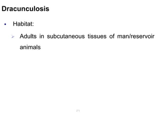 Dracunculosis
 Habitat:
 Adults in subcutaneous tissues of man/reservoir
animals
271
 
