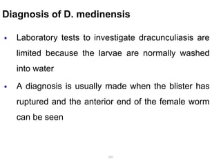 Diagnosis of D. medinensis
 Laboratory tests to investigate dracunculiasis are
limited because the larvae are normally washed
into water
 A diagnosis is usually made when the blister has
ruptured and the anterior end of the female worm
can be seen
289
 