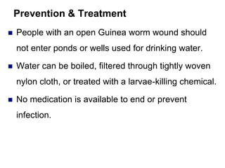 Prevention & Treatment
 People with an open Guinea worm wound should
not enter ponds or wells used for drinking water.
 Water can be boiled, filtered through tightly woven
nylon cloth, or treated with a larvae-killing chemical.
 No medication is available to end or prevent
infection.
 
