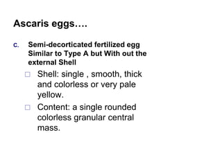 C. Semi-decorticated fertilized egg
Similar to Type A but With out the
external Shell
 Shell: single , smooth, thick
and colorless or very pale
yellow.
 Content: a single rounded
colorless granular central
mass.
Ascaris eggs….
 