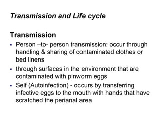 Transmission and Life cycle
Transmission
 Person –to- person transmission: occur through
handling & sharing of contaminated clothes or
bed linens
 through surfaces in the environment that are
contaminated with pinworm eggs
 Self (Autoinfection) - occurs by transferring
infective eggs to the mouth with hands that have
scratched the perianal area
 