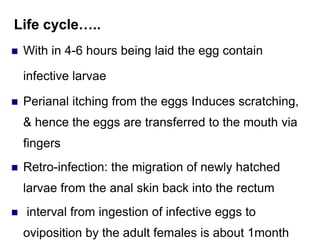Life cycle…..
 With in 4-6 hours being laid the egg contain
infective larvae
 Perianal itching from the eggs Induces scratching,
& hence the eggs are transferred to the mouth via
fingers
 Retro-infection: the migration of newly hatched
larvae from the anal skin back into the rectum
 interval from ingestion of infective eggs to
oviposition by the adult females is about 1month
 