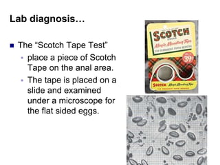 Lab diagnosis…
 The “Scotch Tape Test”
 place a piece of Scotch
Tape on the anal area.
 The tape is placed on a
slide and examined
under a microscope for
the flat sided eggs.
 
