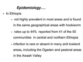 Epidemiology….
 In Ethiopia
 not highly prevalent in most areas and is found
in the same geographical areas with hookworm
 rates up to 44% reported from 41 of the 50
communities in central and northern Ethiopia
 infection is rare or absent in many arid lowland
areas, including the Ogaden and pastoral areas
in the Awash Valley
 