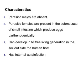Characterstics
1. Parasitic males are absent
2. Parasitic females are present in the submocusa
of small intestine which produce eggs
parthenogenically
3. Can develop in to free living generation in the
soil out side the human host
4. Has internal autoinfection
 