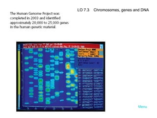 LO 7.3

Chromosomes, genes and DNA

Menu

 