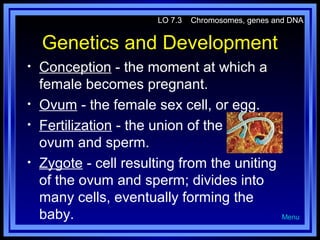 LO 7.3

Chromosomes, genes and DNA

Genetics and Development
•
•
•
•

Conception - the moment at which a
female becomes pregnant.
Ovum - the female sex cell, or egg.
Fertilization - the union of the
ovum and sperm.
Zygote - cell resulting from the uniting
of the ovum and sperm; divides into
many cells, eventually forming the
baby.

Menu

 