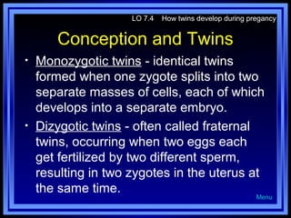 LO 7.4

How twins develop during pregancy

Conception and Twins
•

•

Monozygotic twins - identical twins
formed when one zygote splits into two
separate masses of cells, each of which
develops into a separate embryo.
Dizygotic twins - often called fraternal
twins, occurring when two eggs each
get fertilized by two different sperm,
resulting in two zygotes in the uterus at
the same time.

Menu

 