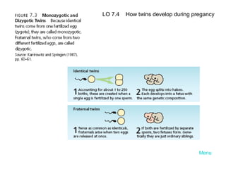 LO 7.4

How twins develop during pregancy

Menu

 