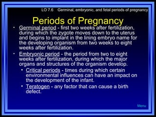 LO 7.6

•

•

Germinal, embryonic, and fetal periods of pregnancy

Periods of Pregnancy

Germinal period - first two weeks after fertilization,
during which the zygote moves down to the uterus
and begins to implant in the lining embryo name for
the developing organism from two weeks to eight
weeks after fertilization.
Embryonic period - the period from two to eight
weeks after fertilization, during which the major
organs and structures of the organism develop.
• Critical periods - times during which certain
environmental influences can have an impact on
the development of the infant.
• Teratogen - any factor that can cause a birth
defect.
Menu

 