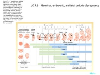 LO 7.6

Germinal, embryonic, and fetal periods of pregnancy

Menu

 