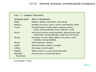 LO 7.6

Germinal, embryonic, and fetal periods of pregnancy

Menu

 