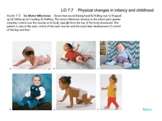 LO 7.7

Physical changes in infancy and childhood

Menu

 