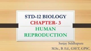 STD-12 BIOLOGY
CHAPTER- 3
HUMAN
REPRODUCTION
Sanjay Siddhapura
M.Sc., B. Ed., GSET, GPSC.
 