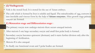• (2) Vitellogenesis
• Yolk is the stored food. It is stored for the use of future embryo.
• The yolk which is formed by liver is soluble and liquid. The mitochondria of egg, converts it
into insoluble and viscous form by the help of kinase enzymes. After growth stage primary
oocytes are formed.
• C) Maturation stage and Differentiation stage :
• The primary oocyte now undergo meiosis there occurs unequal meiosis.
• After meiosis-I one large secondary oocyte and small first polar body is formed.
• Secondary oocyte becomes quiescent (dormant) and it starts further division only after the
beginning of fertilization.
• Meiosis-II is also unequal.
• So finally one functional ovum and 3 polar bodies are formed.
 