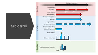 Transcriptomics(Microarray: Chip and Image Analysis).pptx