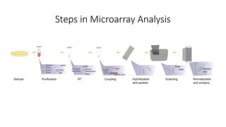 Transcriptomics(Microarray: Chip and Image Analysis).pptx