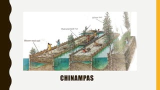 CHINAMPAS
 