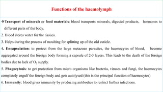 Functions of the haemolymph
Transport of minerals or food materials: blood transports minerals, digested products, hormones to
different parts of the body.
2. Blood stores water for the tissues.
3. Helps during the process of moulting for splitting up of the old cuticle.
4. Encapsulation: to protect from the large metazoan parasites, the haemocytes of blood, become
aggregated around the foreign body forming a capsule of 2-3 layers. This leads to the death of the foreign
bodies due to lack of O2 supply.
5. Phagocytosis: to get protection from micro organisms like bacteria, viruses and fungi, the haemocytes
completely engulf the foreign body and gets autolysed (this is the principal function of haemocytes)
6. Immunity: blood gives immunity by producing antibodies to restrict further infections.
 