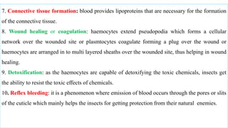 Do Insects Bleed Chapter 3 Internal structure and function of insects.pptx