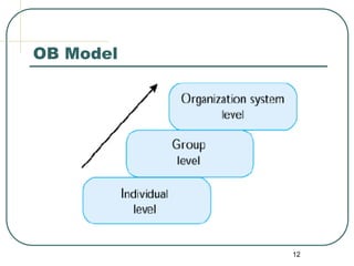 12
OB Model
 
