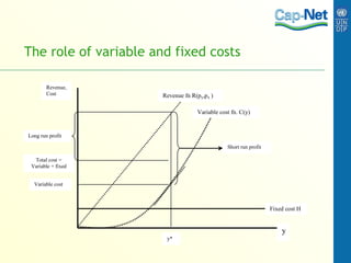 The role of variable and fixed costs 