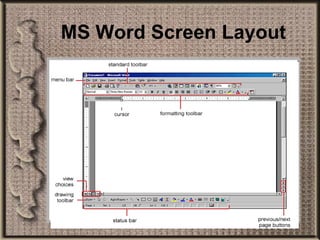MS Word Screen Layout 