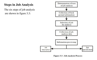 Simple Job Analysis Chapter 3 Job Analysis and Job Design.pptx