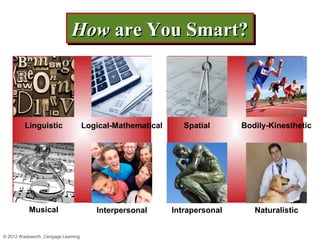 Chapter 3 learning styles | PPT