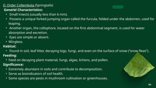 CHAPTER 3 LECTURE 2 AND 3 [Autosaved].pptx