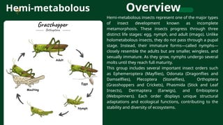 CHAPTER 3 LECTURE 2 AND 3 [Autosaved].pptx