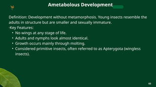 CHAPTER 3 LECTURE 2 AND 3 [Autosaved].pptx