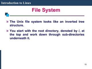 File System
Introduction to Linux
The Unix file system looks like an inverted tree
structure.
You start with the root directory, denoted by /, at
the top and work down through sub-directories
underneath it.
10
 