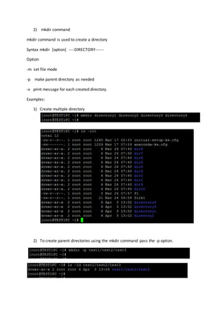 Chapter 4 Linux Basic Commands | DOCX
