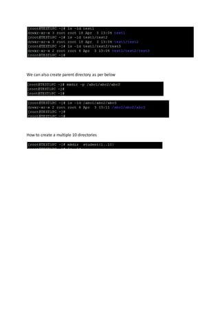 Chapter 4 Linux Basic Commands | DOCX