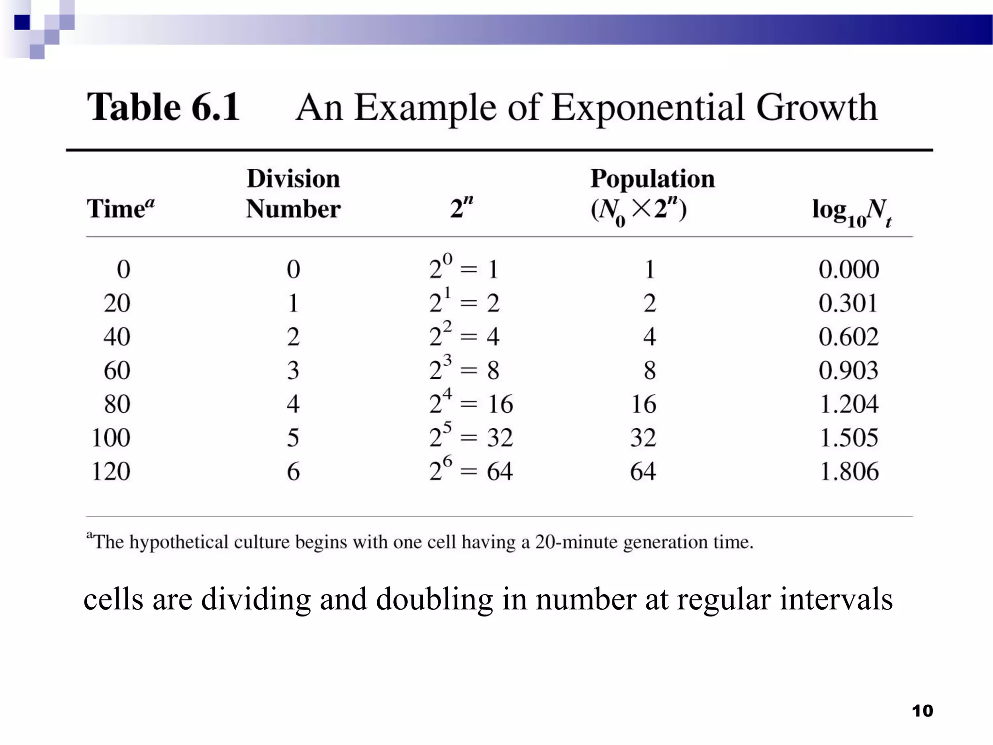 cells are dividing and doubling in number at regular intervals
10
 