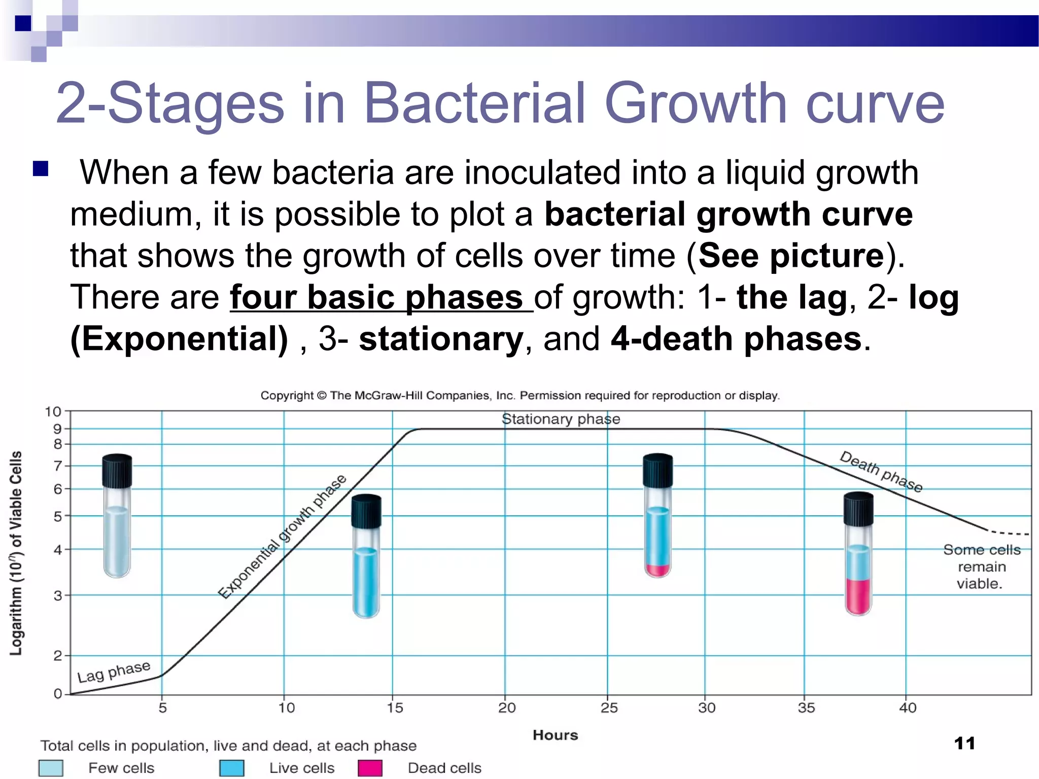 2-Stages in Bacterial Growth curve
 When a few bacteria are inoculated into a liquid growth
medium, it is possible to plot a bacterial growth curve
that shows the growth of cells over time (See picture).
There are four basic phases of growth: 1- the lag, 2- log
(Exponential) , 3- stationary, and 4-death phases.
11
 