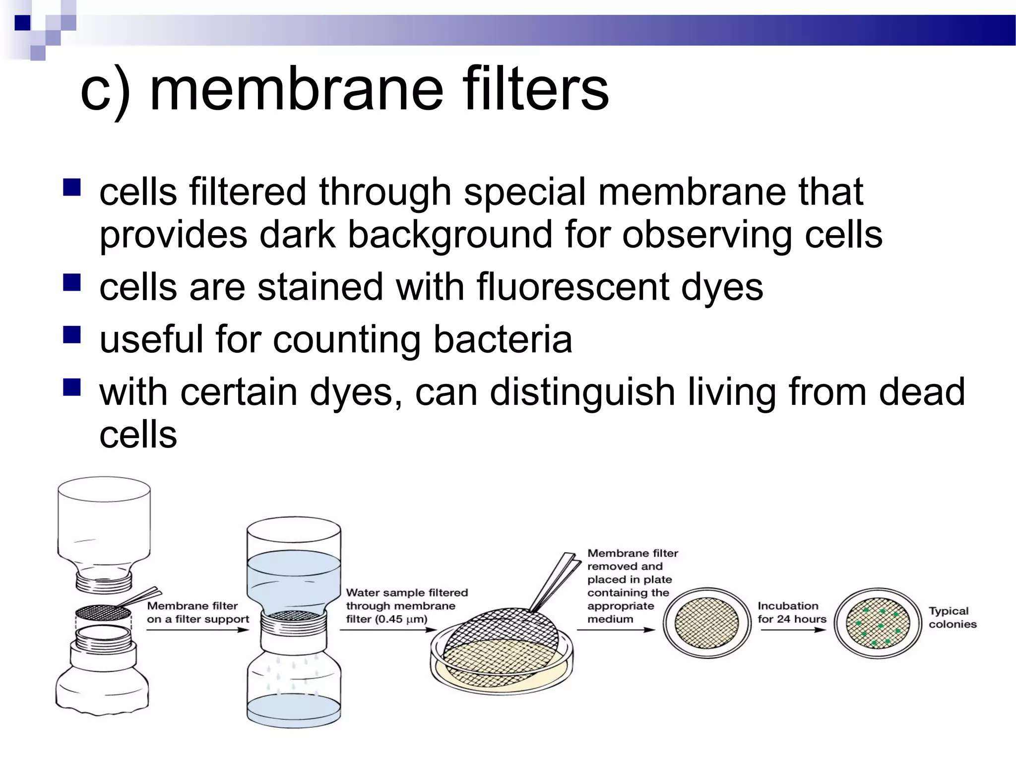 c) membrane filters
 cells filtered through special membrane that
provides dark background for observing cells
 cells are stained with fluorescent dyes
 useful for counting bacteria
 with certain dyes, can distinguish living from dead
cells
23
 