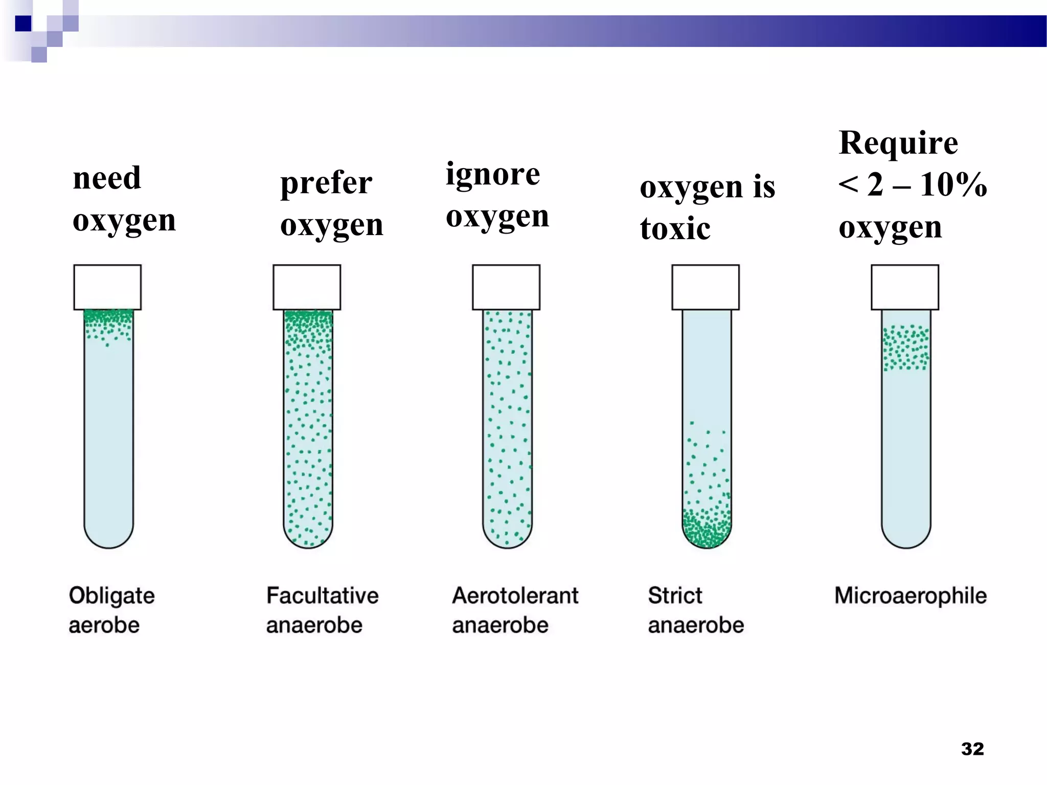 need
oxygen
prefer
oxygen
ignore
oxygen
oxygen is
toxic
Require
< 2 – 10%
oxygen
32
 