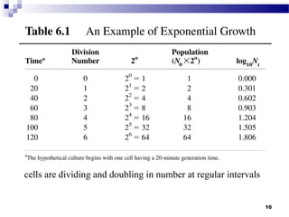 cells are dividing and doubling in number at regular intervals
10
 