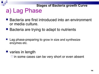 a) Lag Phase
 Bacteria are first introduced into an environment
or media culture.
 Bacteria are trying to adapt to nutrients
 Lag phase-preparing to grow in size and synthesize
enzymes etc.
 varies in length
 in some cases can be very short or even absent
Stages of Bacteria growth Curve
14
 